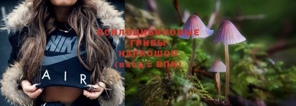 mdma Елизово