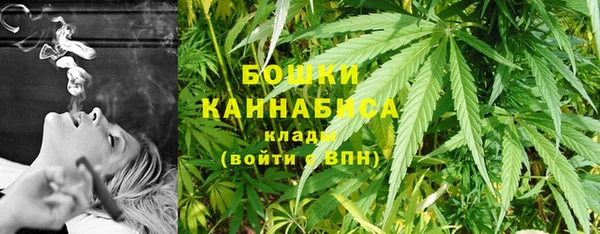 скорость Ельня