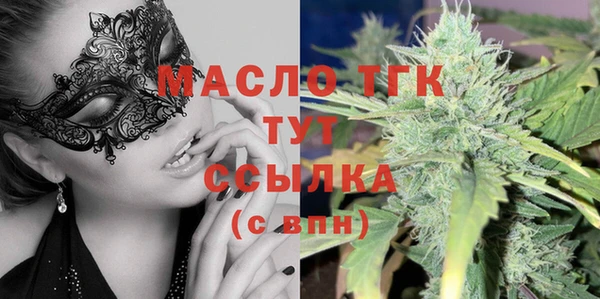 скорость Ельня