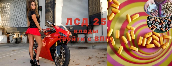 скорость Ельня
